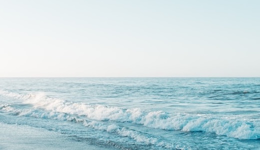 10年来の相棒「NikonD3300」を振り返ってみる