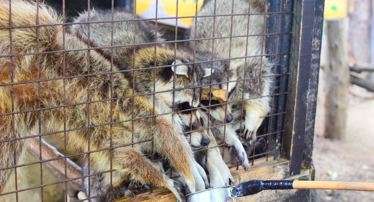 ノースサファリサッポロの写真