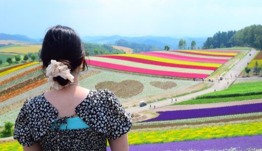 「四季彩の丘」は鮮やかすぎる花畑が続いていた