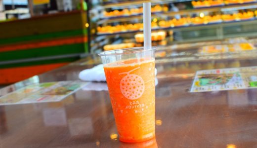 「とみたメロンハウス」でおやつタイムを満喫