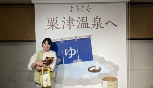 湯のまちで犬と泊まるという選択。「湯快わんわんリゾート粟津」にて