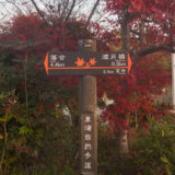 誰もが知る観光地になる前の「早朝の嵐山」より