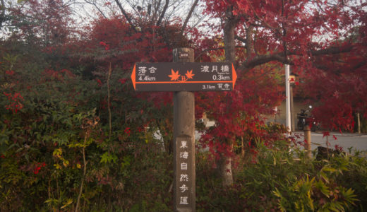 誰もが知る観光地になる前の「早朝の嵐山」より