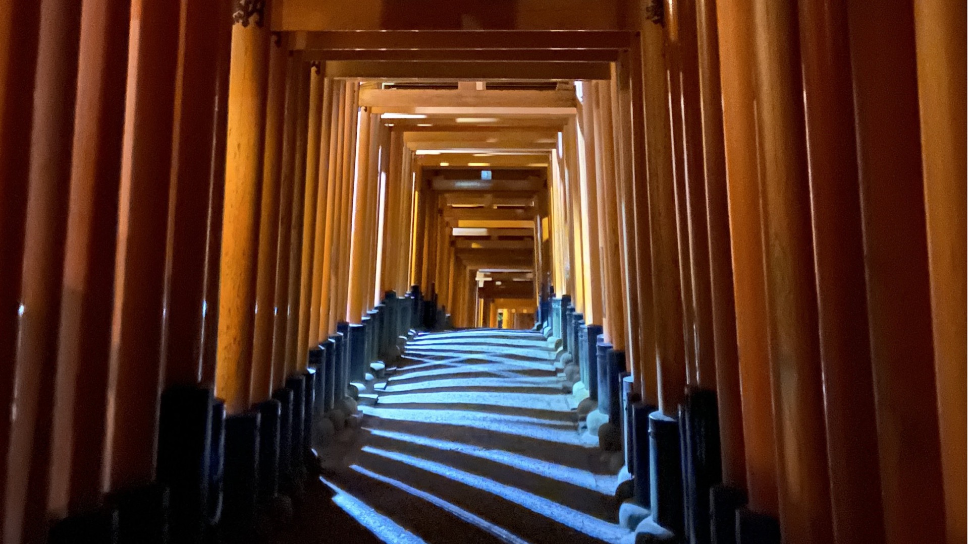 深夜の伏見稲荷大社の千本鳥居の写真